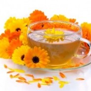 Galbenele – Ceai cu flori de galbenele